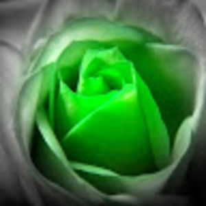 Meet your Posher, Trisha